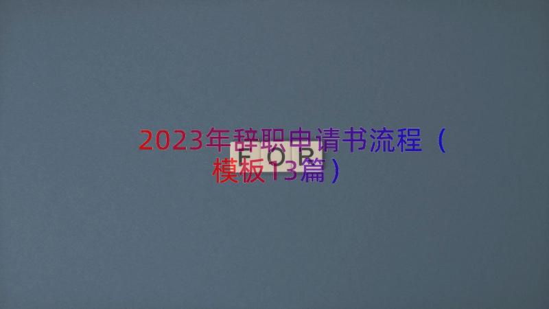 2023年辞职申请书流程（模板13篇）