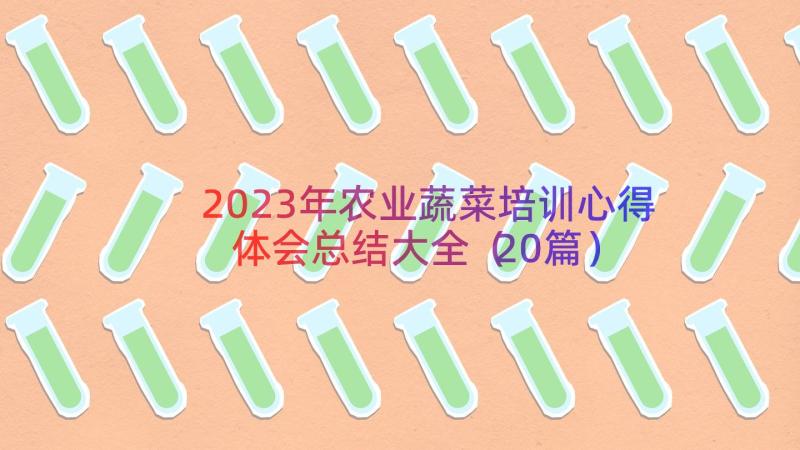 2023年农业蔬菜培训心得体会总结大全（20篇）