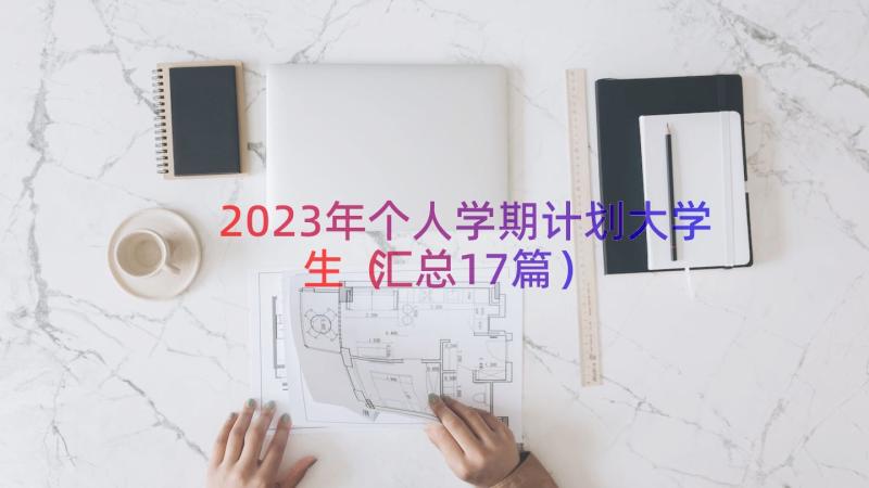 2023年个人学期计划大学生（汇总17篇）