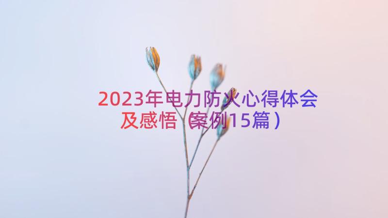 2023年电力防火心得体会及感悟（案例15篇）