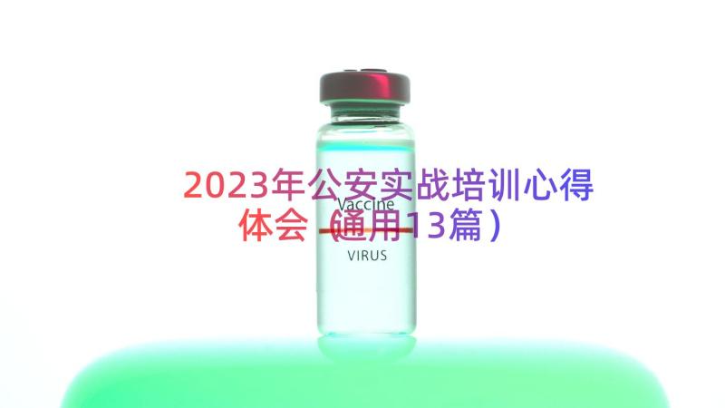 2023年公安实战培训心得体会（通用13篇）