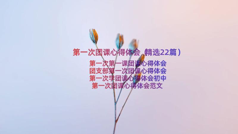 第一次团课心得体会（精选22篇）