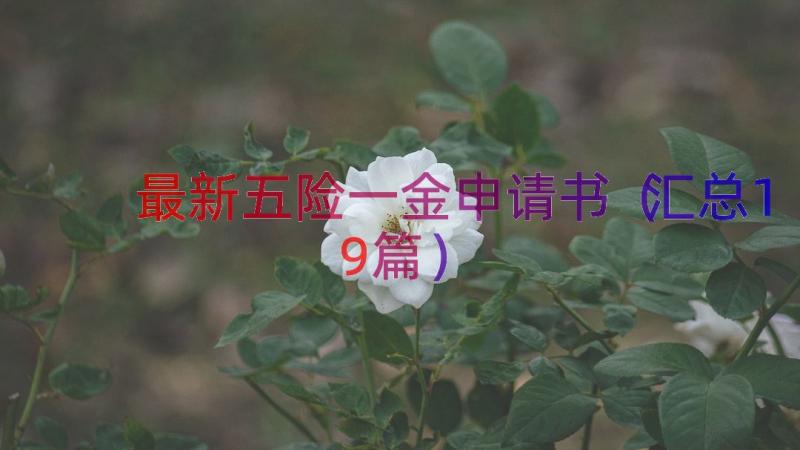 最新五险一金申请书（汇总19篇）