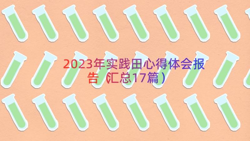 2023年实践田心得体会报告（汇总17篇）