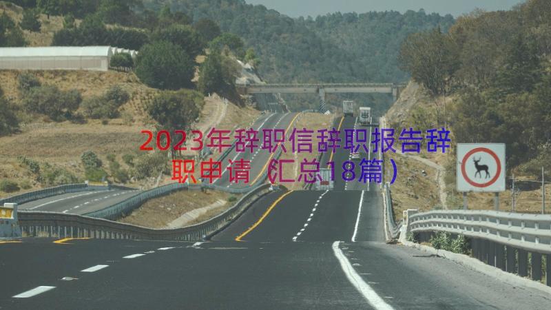 2023年辞职信辞职报告辞职申请（汇总18篇）