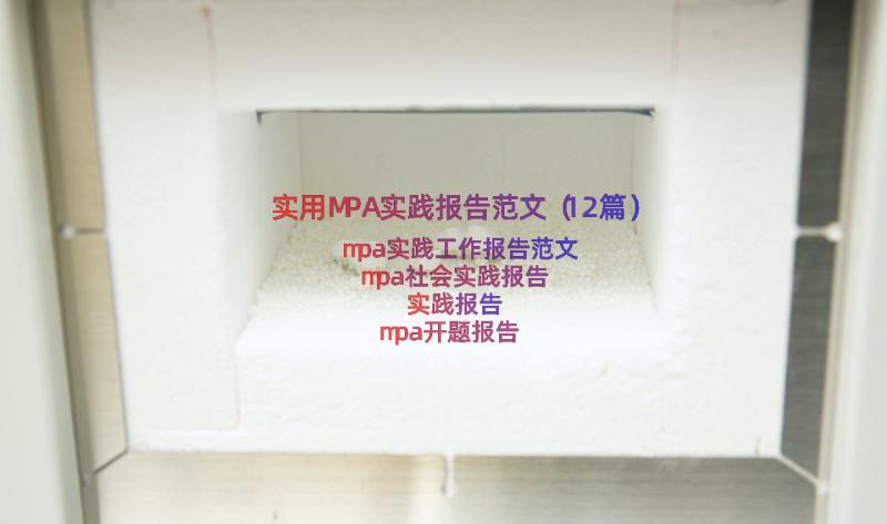 实用MPA实践报告范文（12篇）