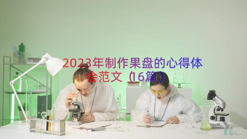 2023年制作果盘的心得体会范文（16篇）