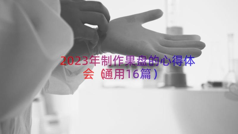 2023年制作果盘的心得体会（通用16篇）