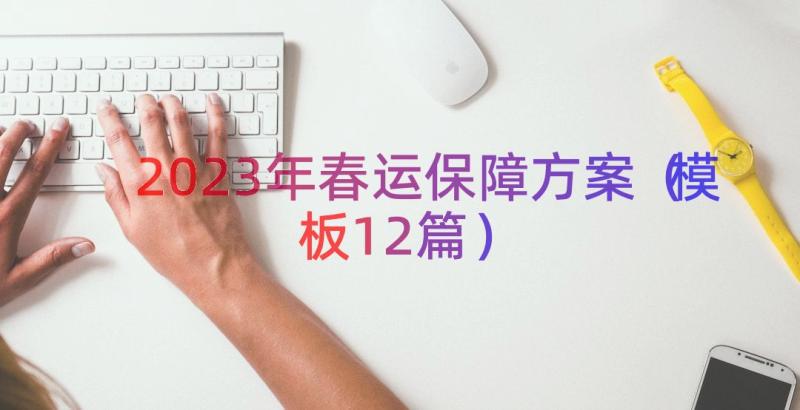 2023年春运保障方案（模板12篇）