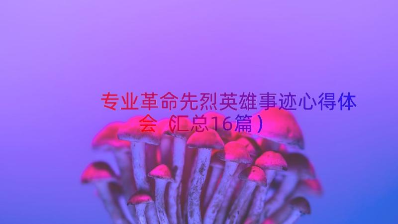 专业革命先烈英雄事迹心得体会（汇总16篇）