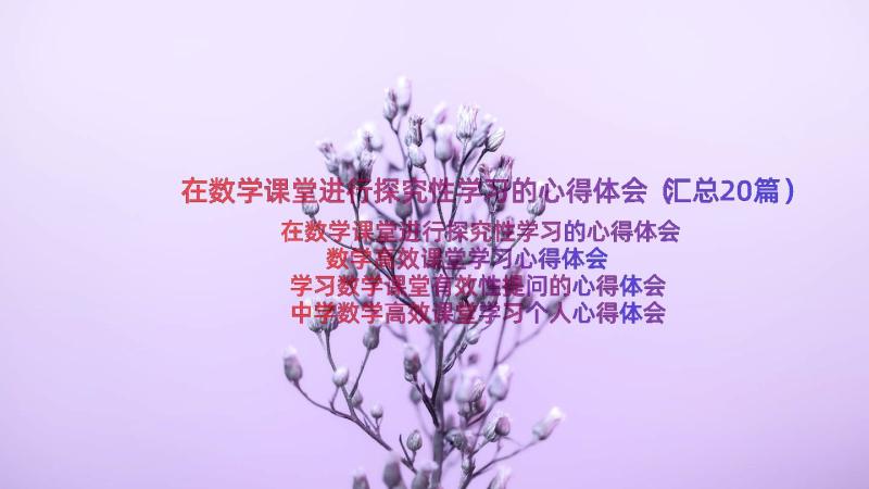 在数学课堂进行探究性学习的心得体会（汇总20篇）