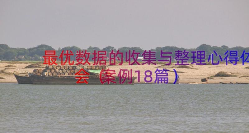 最优数据的收集与整理心得体会（案例18篇）