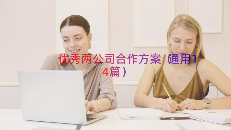 优秀两公司合作方案（通用14篇）