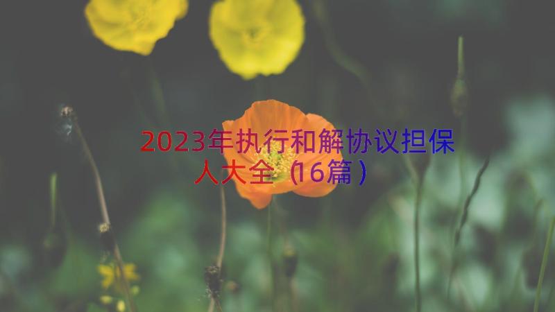 2023年执行和解协议担保人大全（16篇）