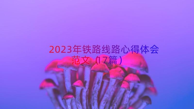 2023年铁路线路心得体会范文（17篇）