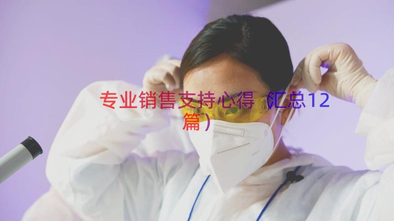 专业销售支持心得（汇总12篇）