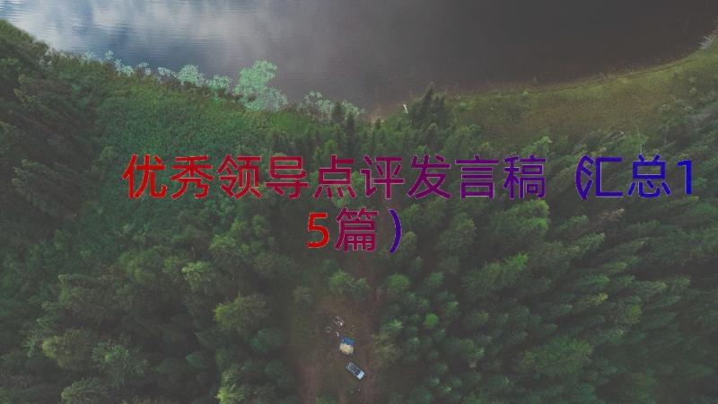 优秀领导点评发言稿（汇总15篇）