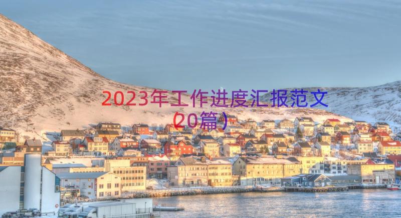 2023年工作进度汇报范文（20篇）