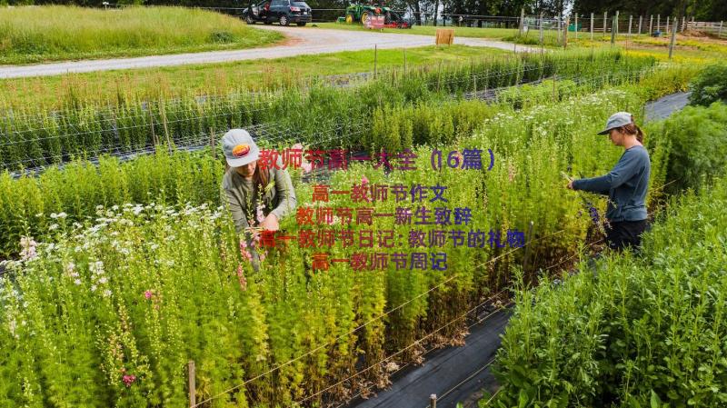 教师节高一大全（16篇）