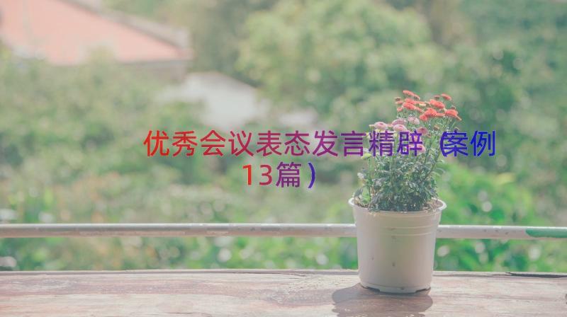 优秀会议表态发言精辟（案例13篇）