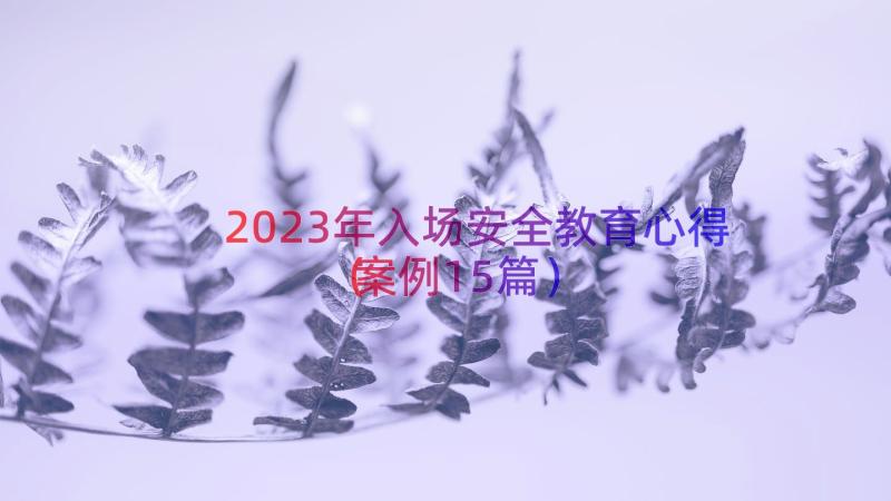 2023年入场安全教育心得（案例15篇）