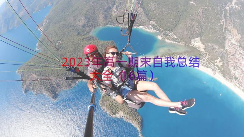 2023年高一期末自我总结大全（16篇）