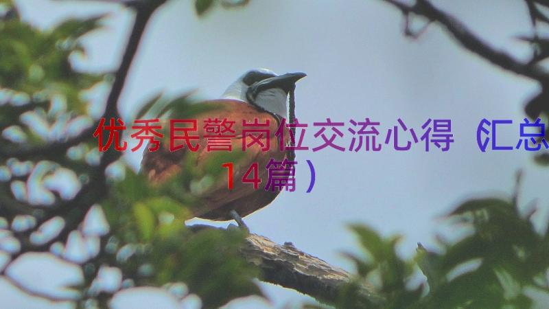 优秀民警岗位交流心得（汇总14篇）