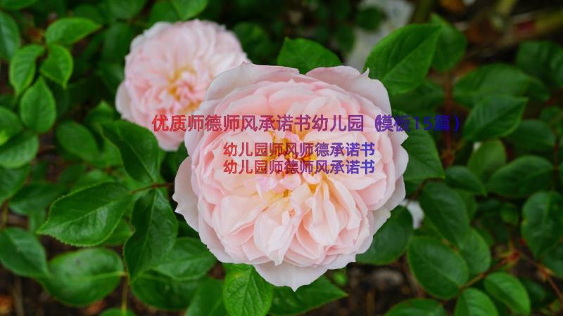 优质师德师风承诺书幼儿园（模板15篇）