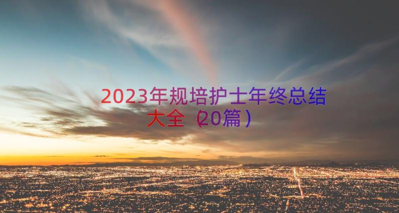 2023年规培护士年终总结大全（20篇）